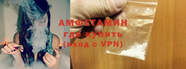 твердый Бородино