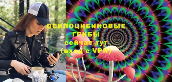 стафф Семёнов
