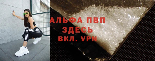 твердый Бородино