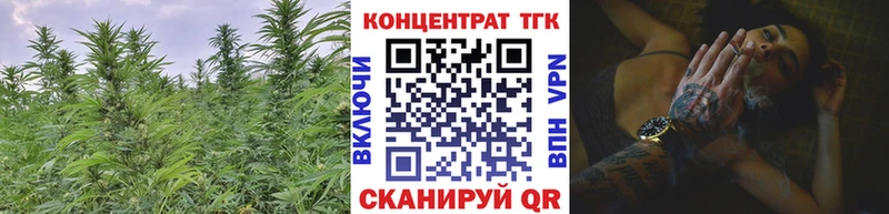 ТГК Wax  Приволжский 