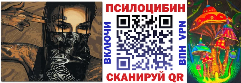 кракен зеркало  Приволжский  Псилоцибиновые грибы Cubensis 